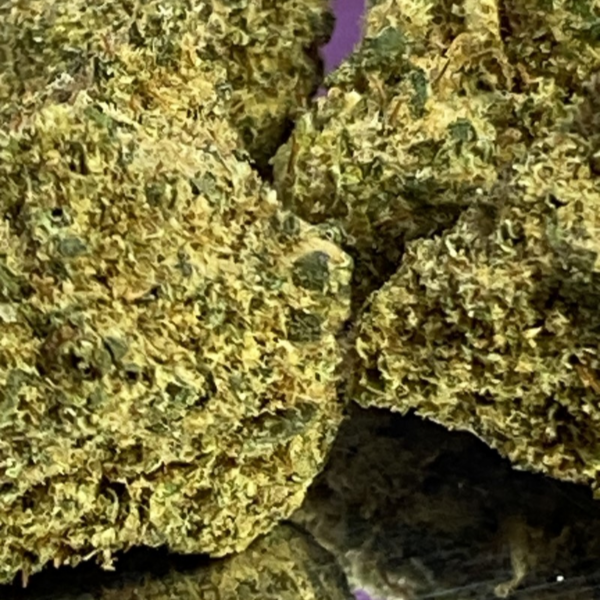 Orange Bud CBD 11,7% / 2,5gr – Image 3